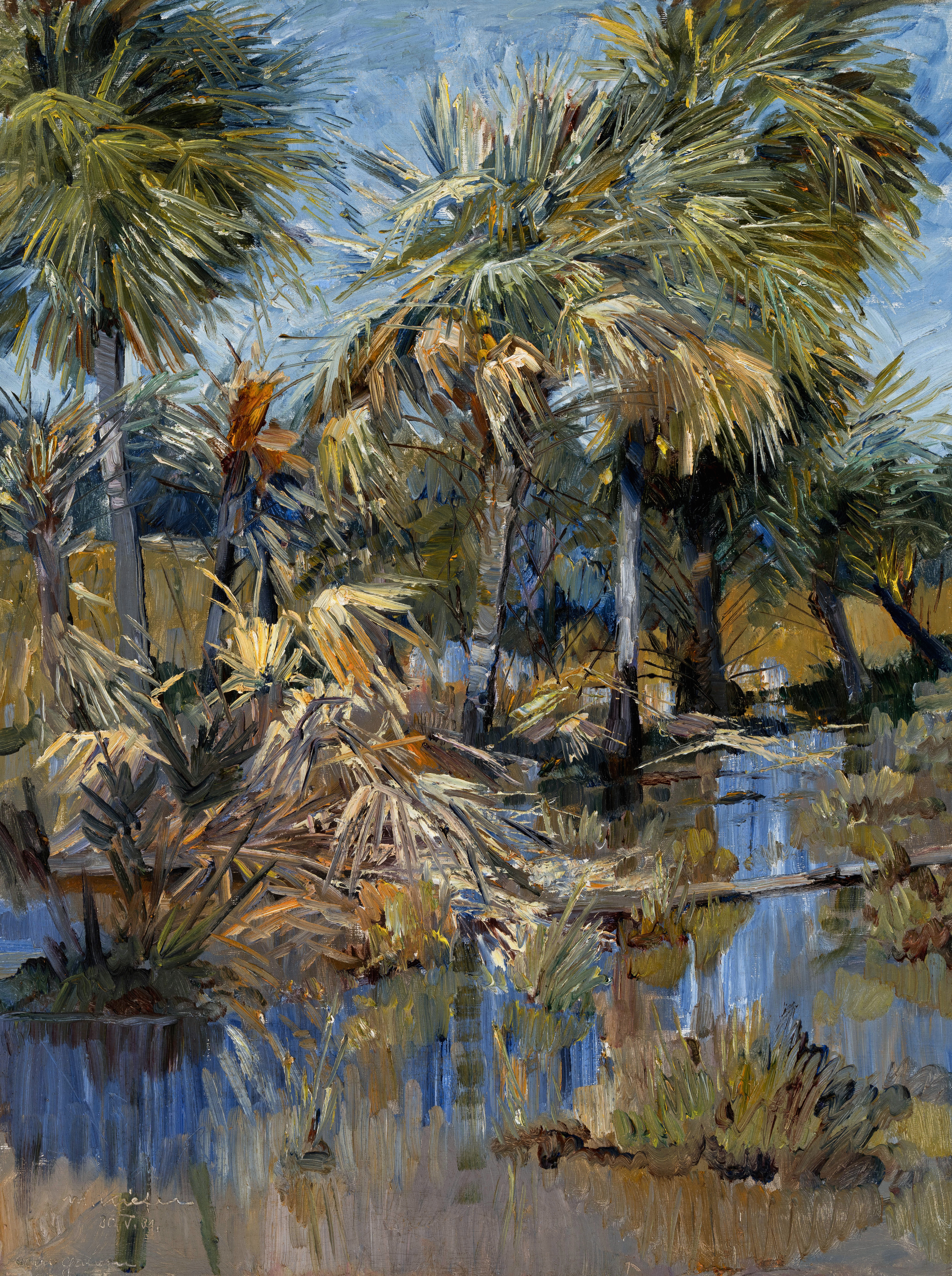 Nach dem Regen (Paraguay) ⋅ 1931 Image
