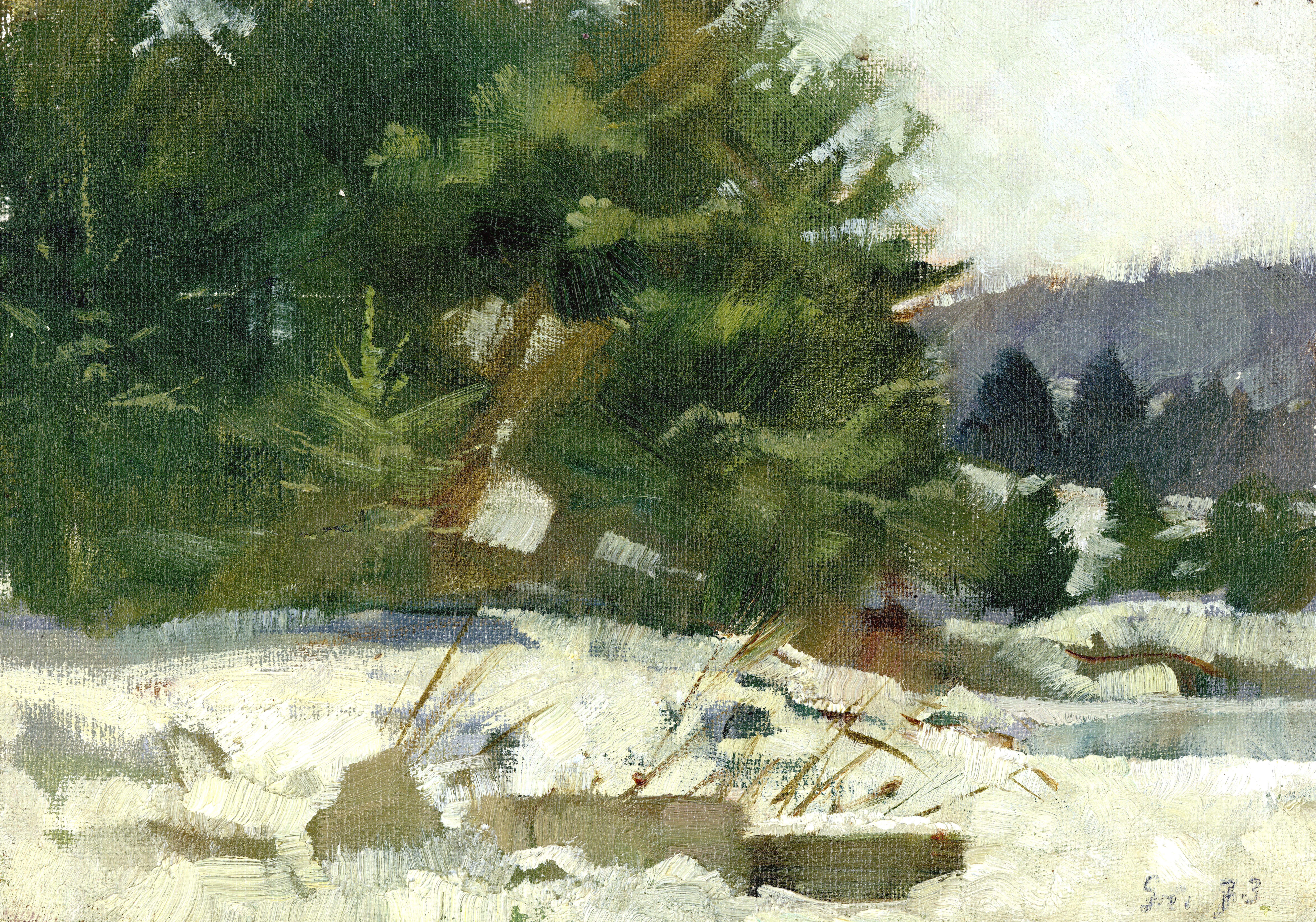 Winter im Groeschel-Garten in Fentbach ⋅ 1973 Image