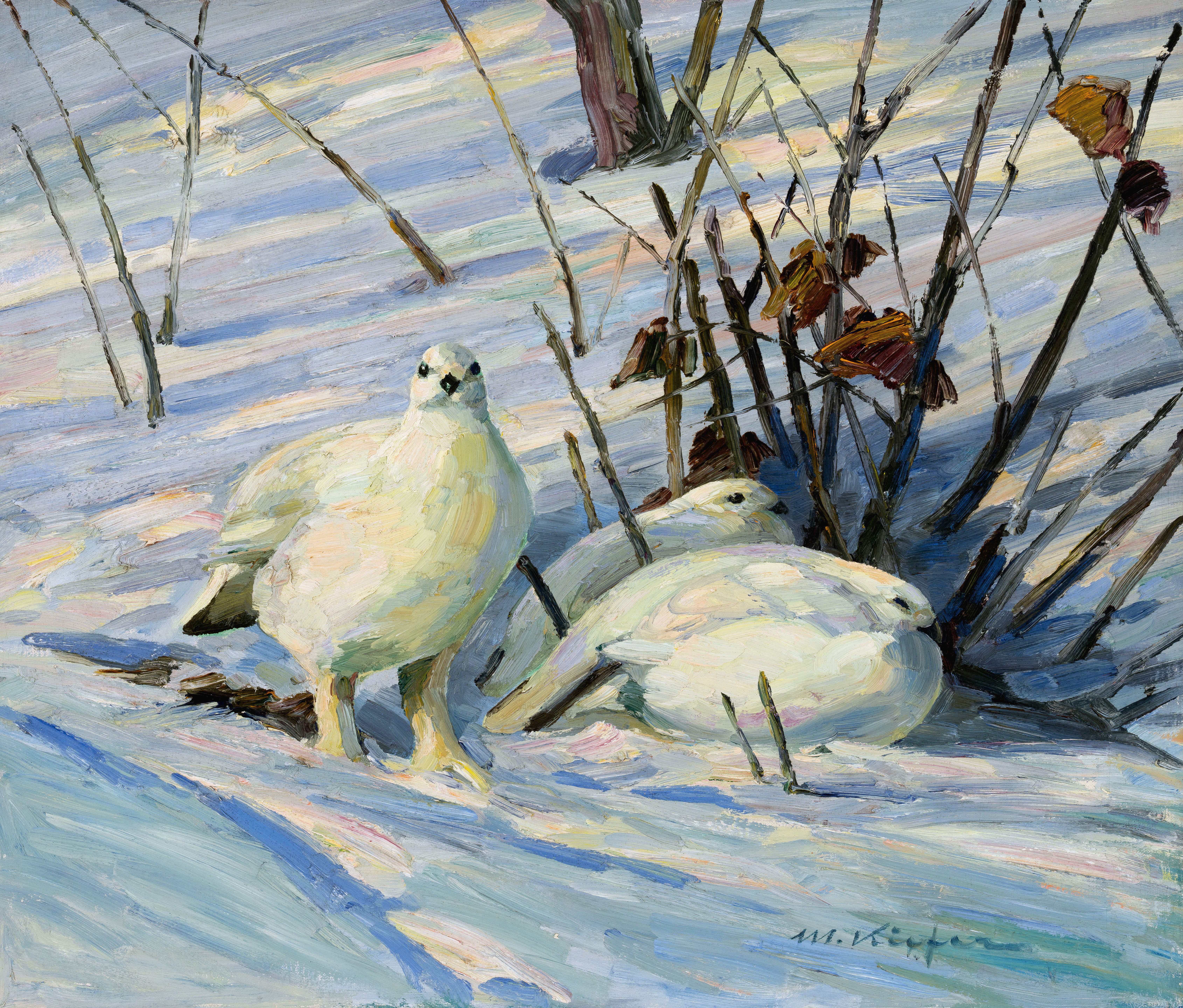 Schneehühner Image