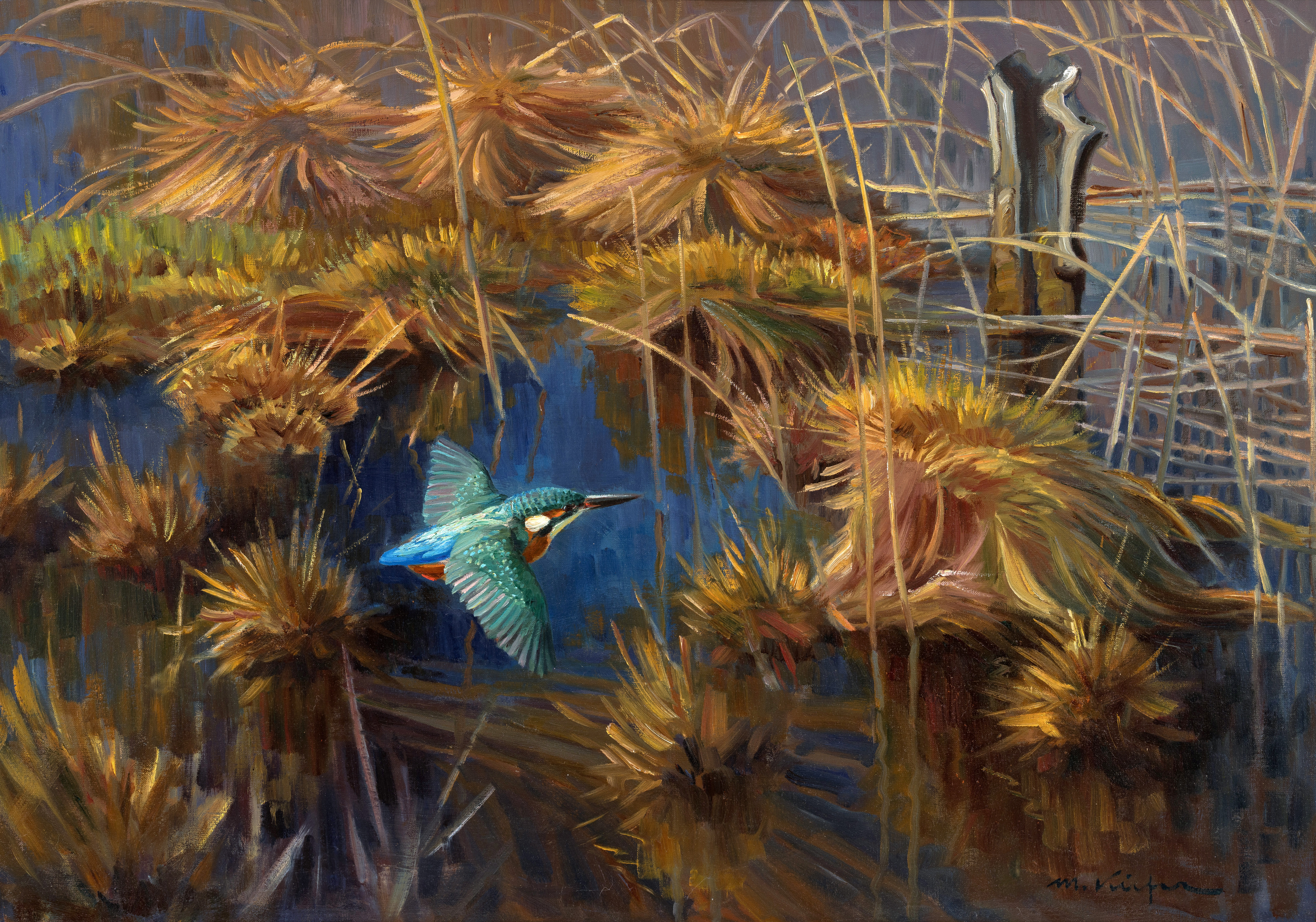 Der fliegende Edelstein (Eisvogel) ⋅ 1961 Image