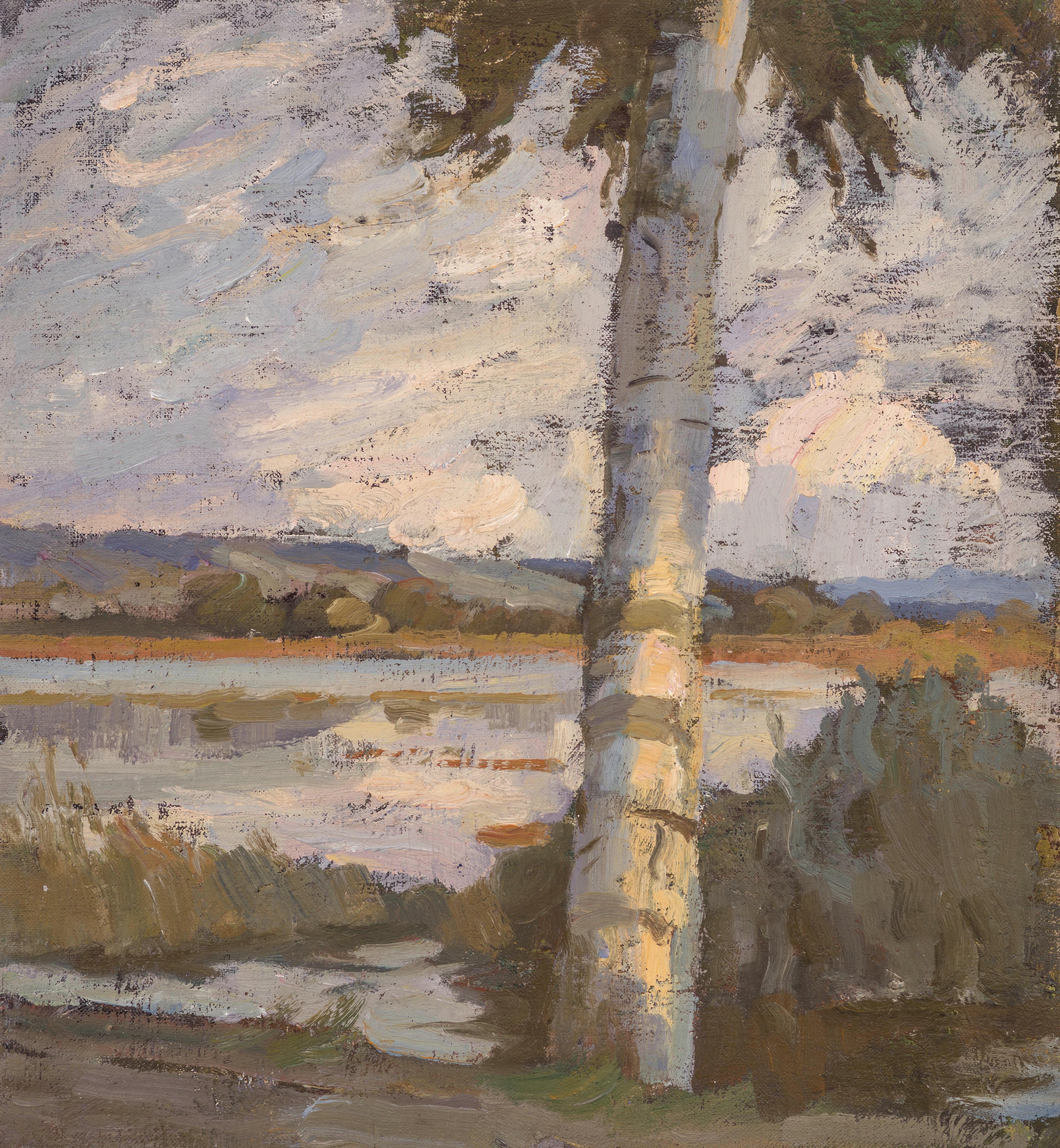 Birke am Seeufer ⋅ um 1915/20 Image