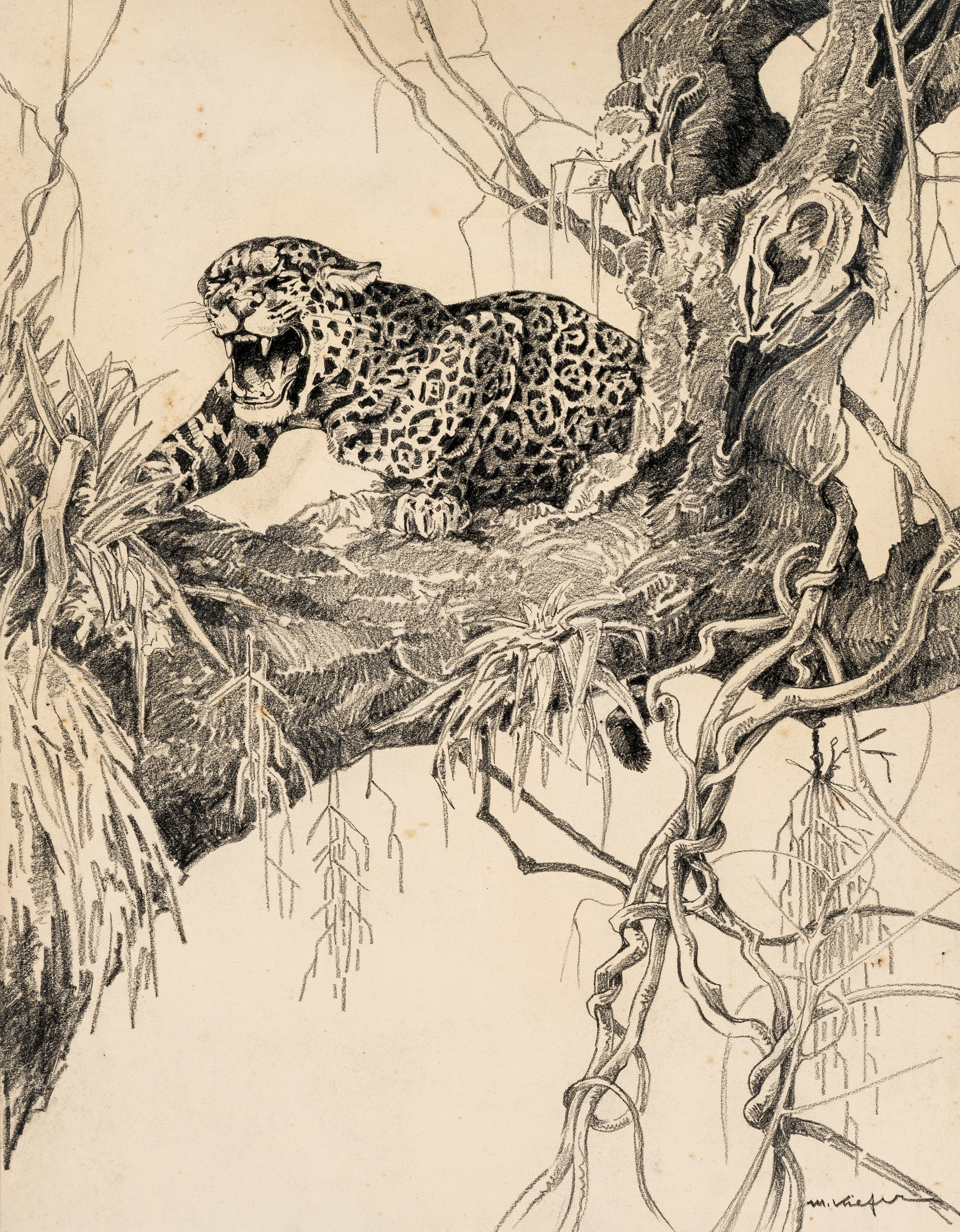 Jaguar Image