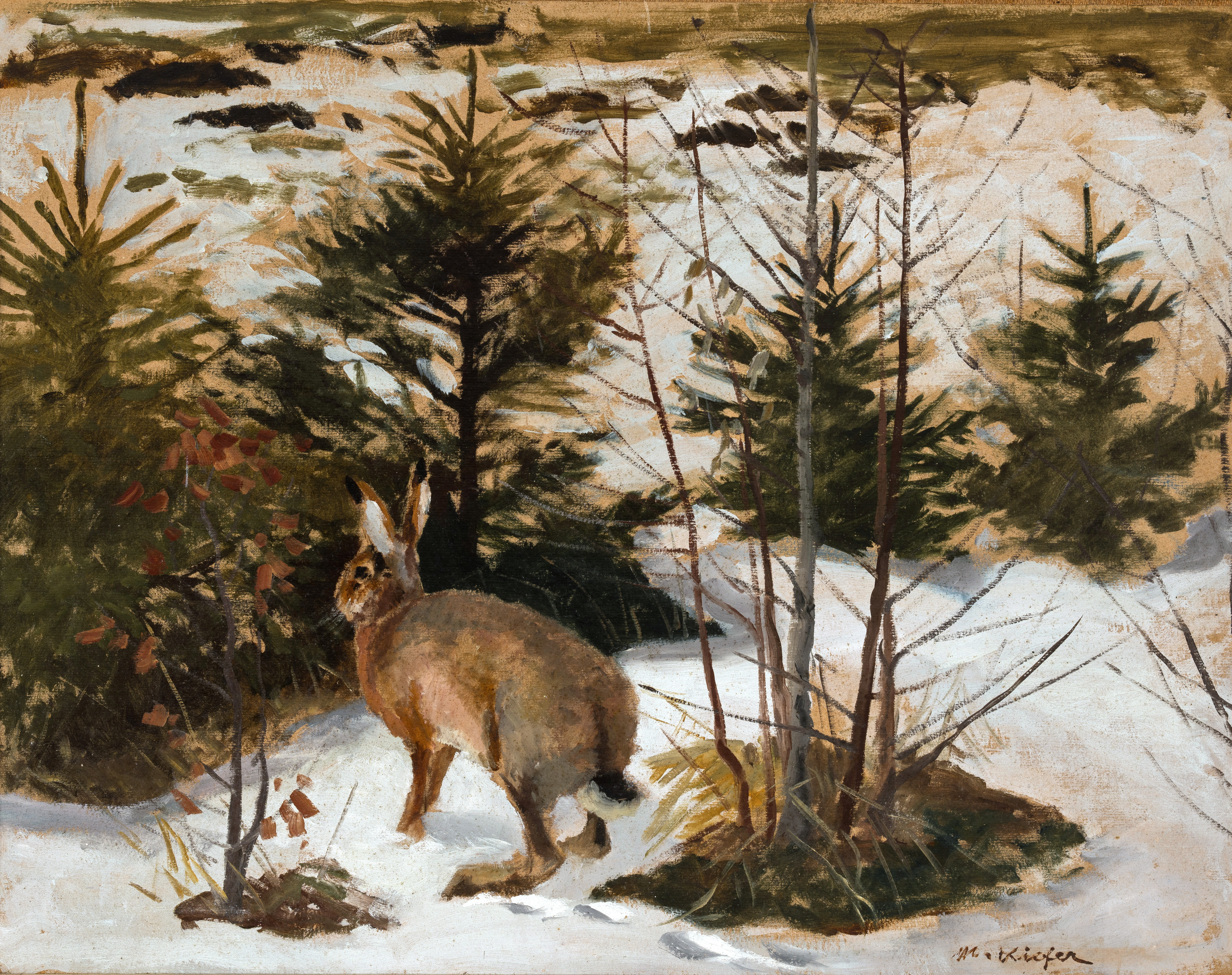 Feldhase im Schnee Image