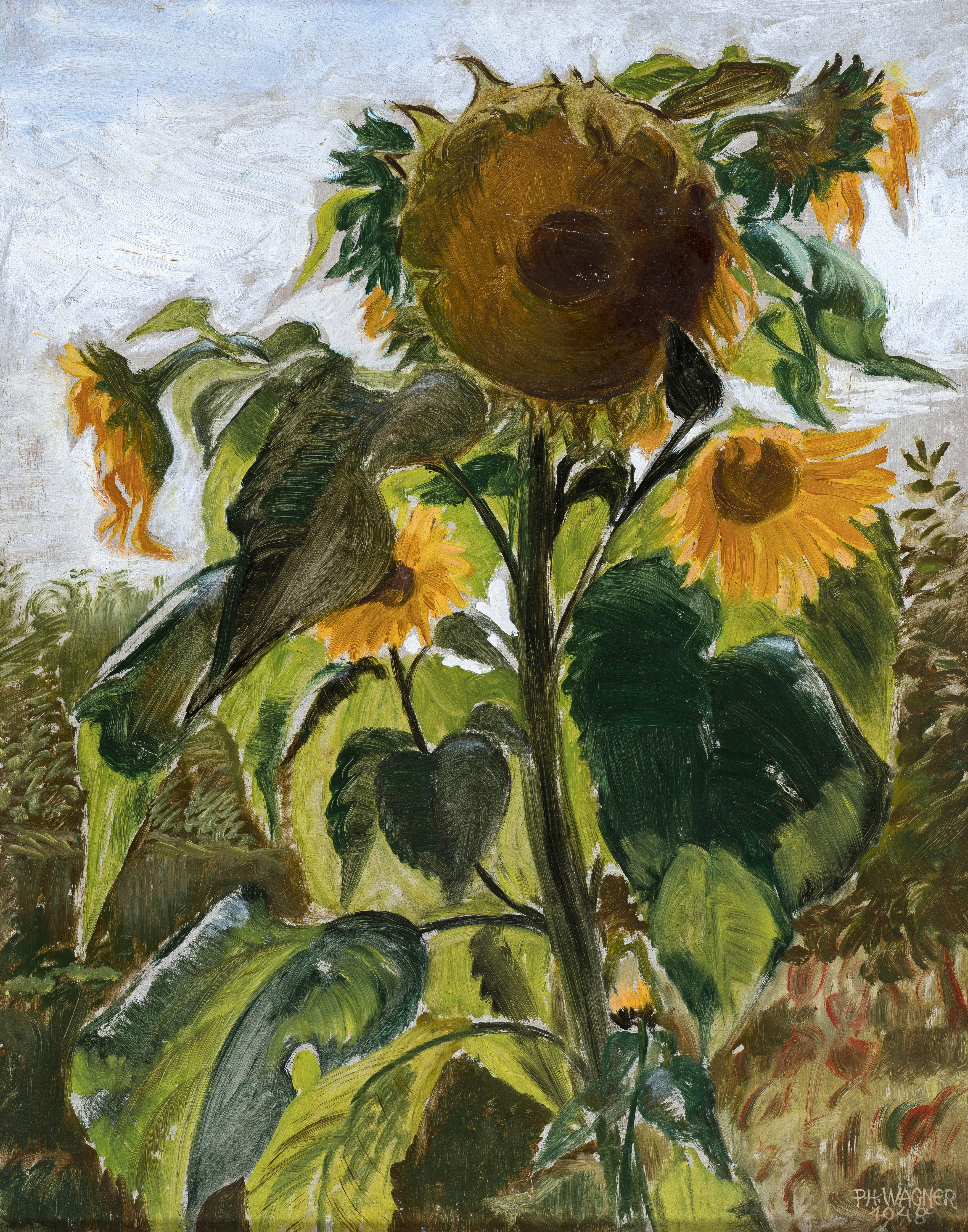 Sonnenblumen ⋅ 1948 Image