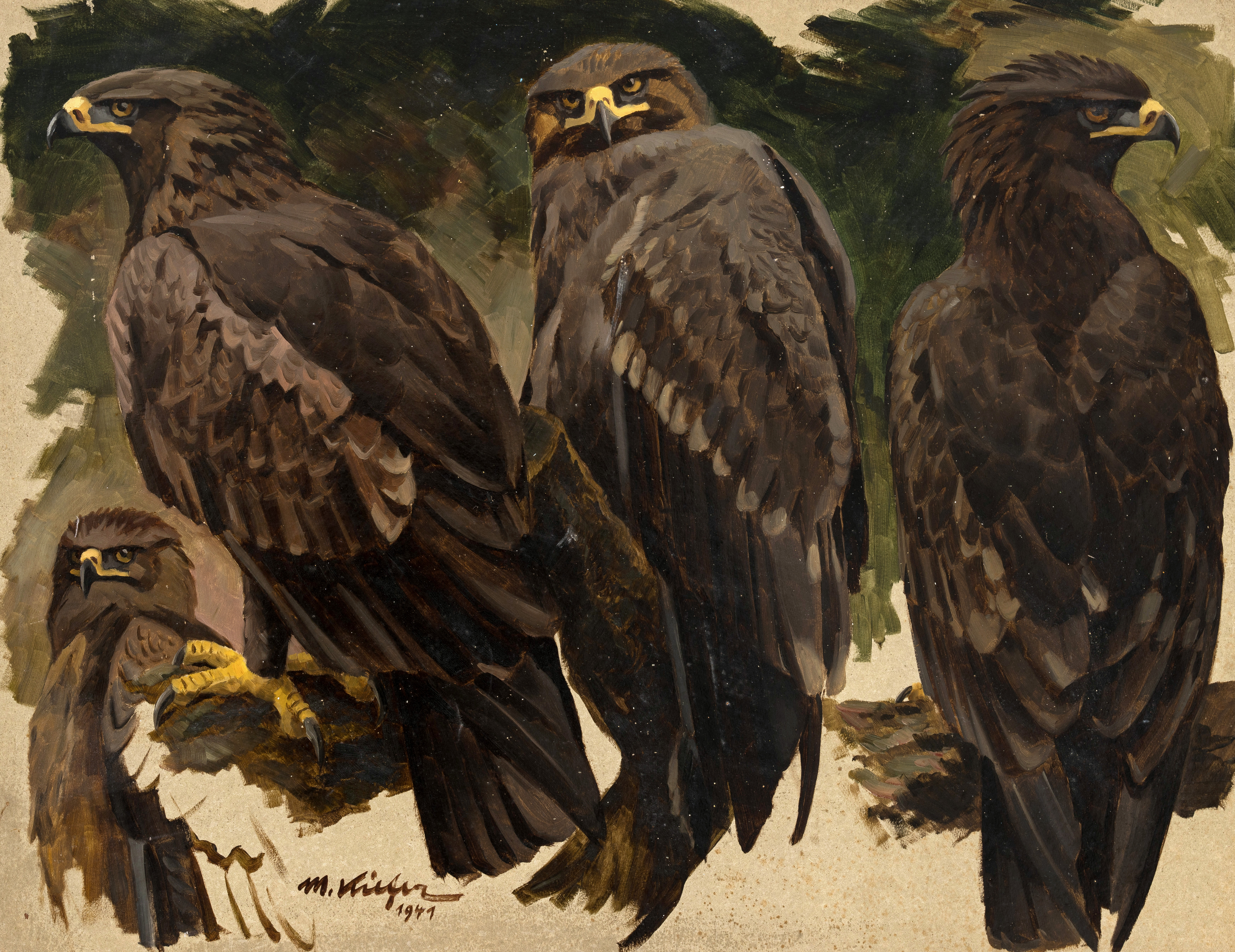 Vier Steinadler ⋅ 1941 Image