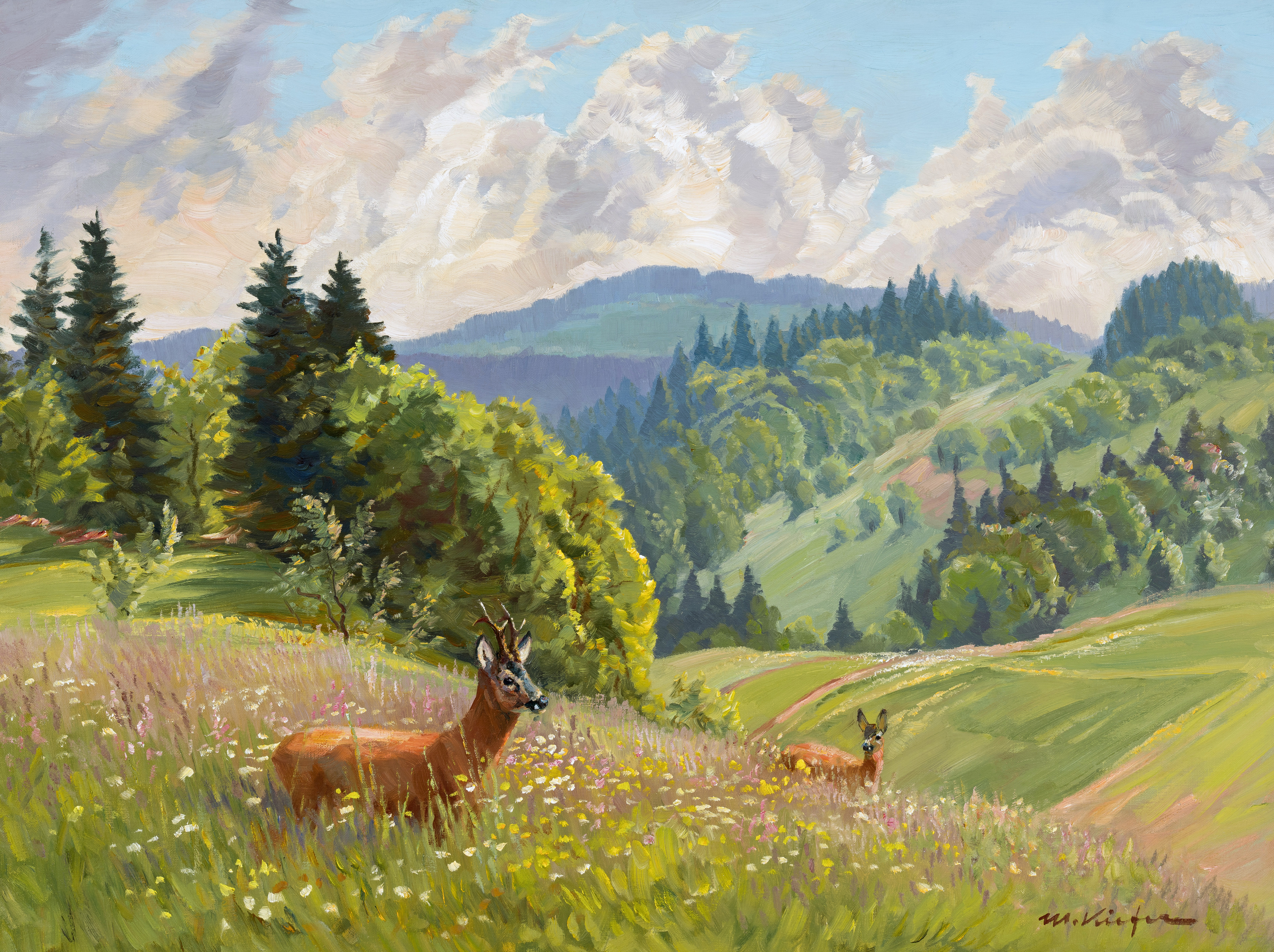 Rehwild auf der Wiese Image