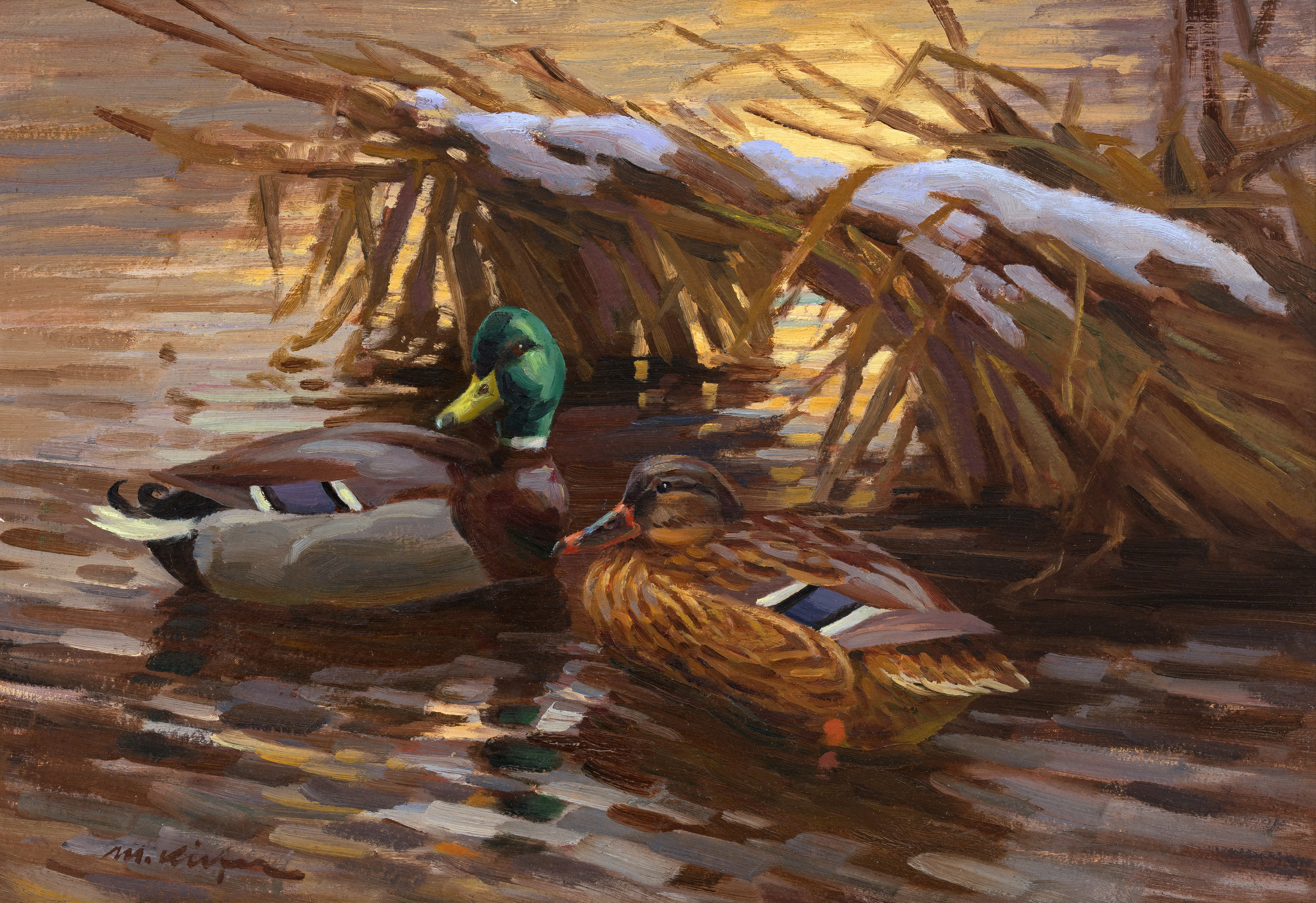 Enten im Wasser Image