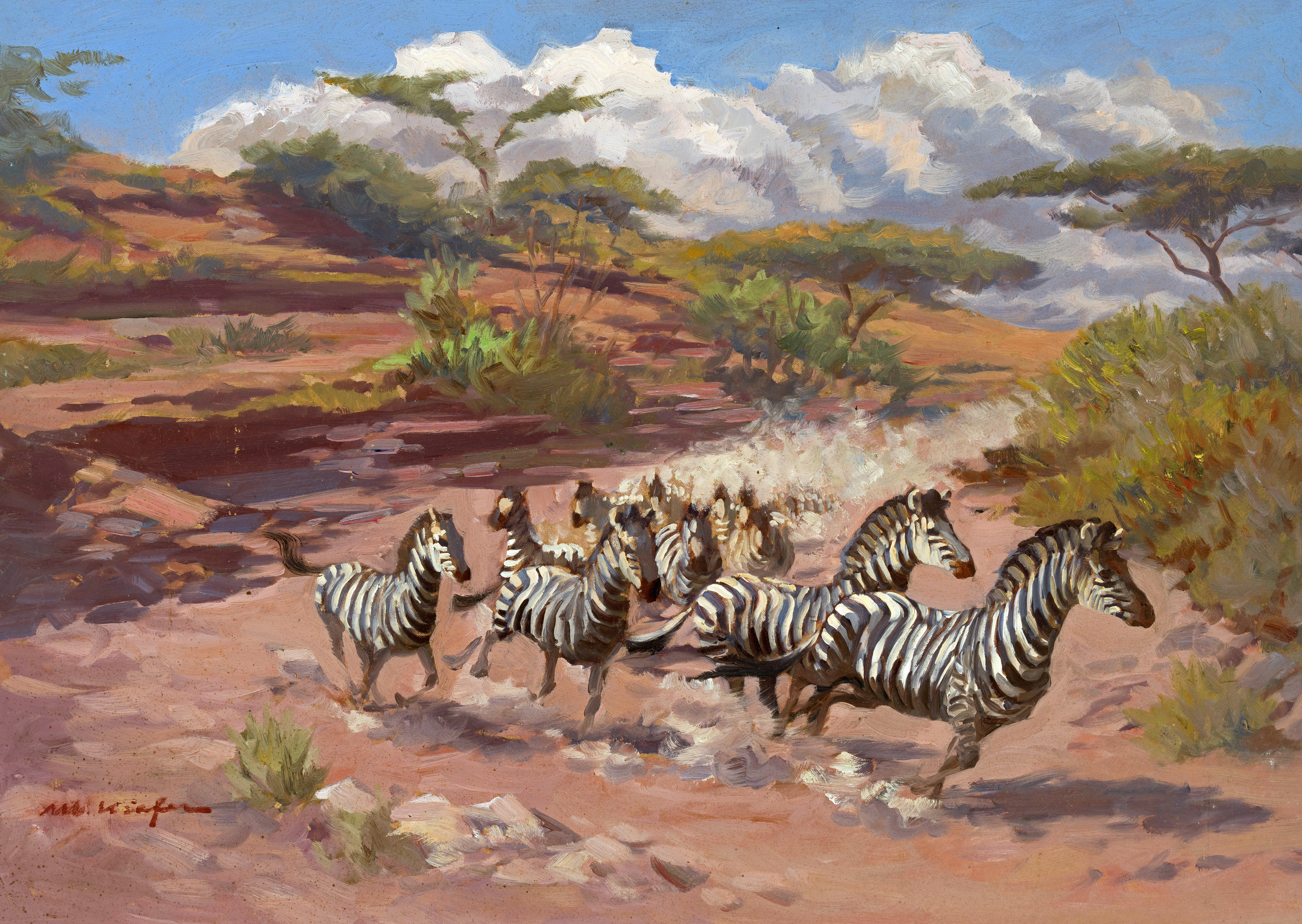 Zebras auf der Flucht Image