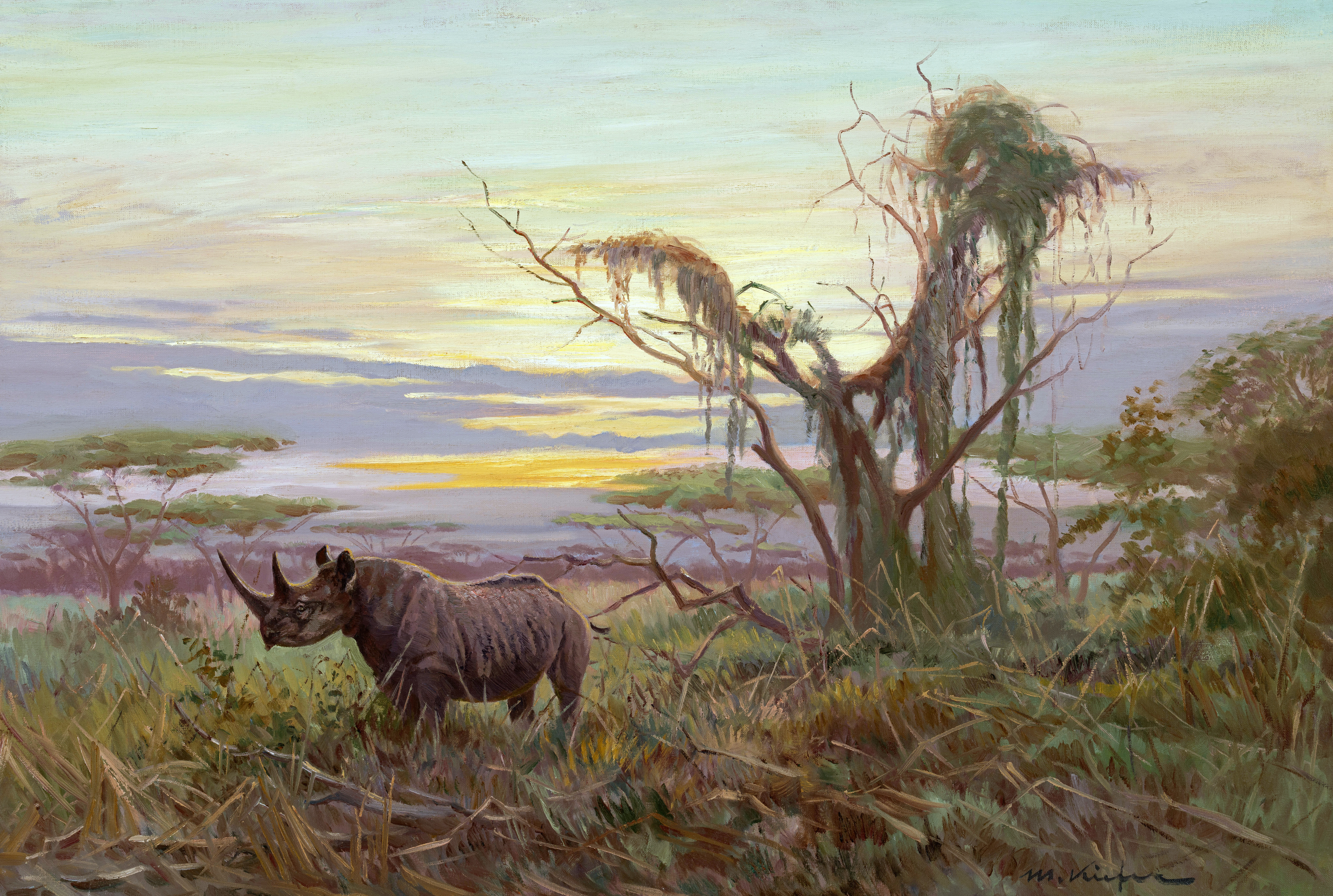 Nashorn in der Serengeti Image