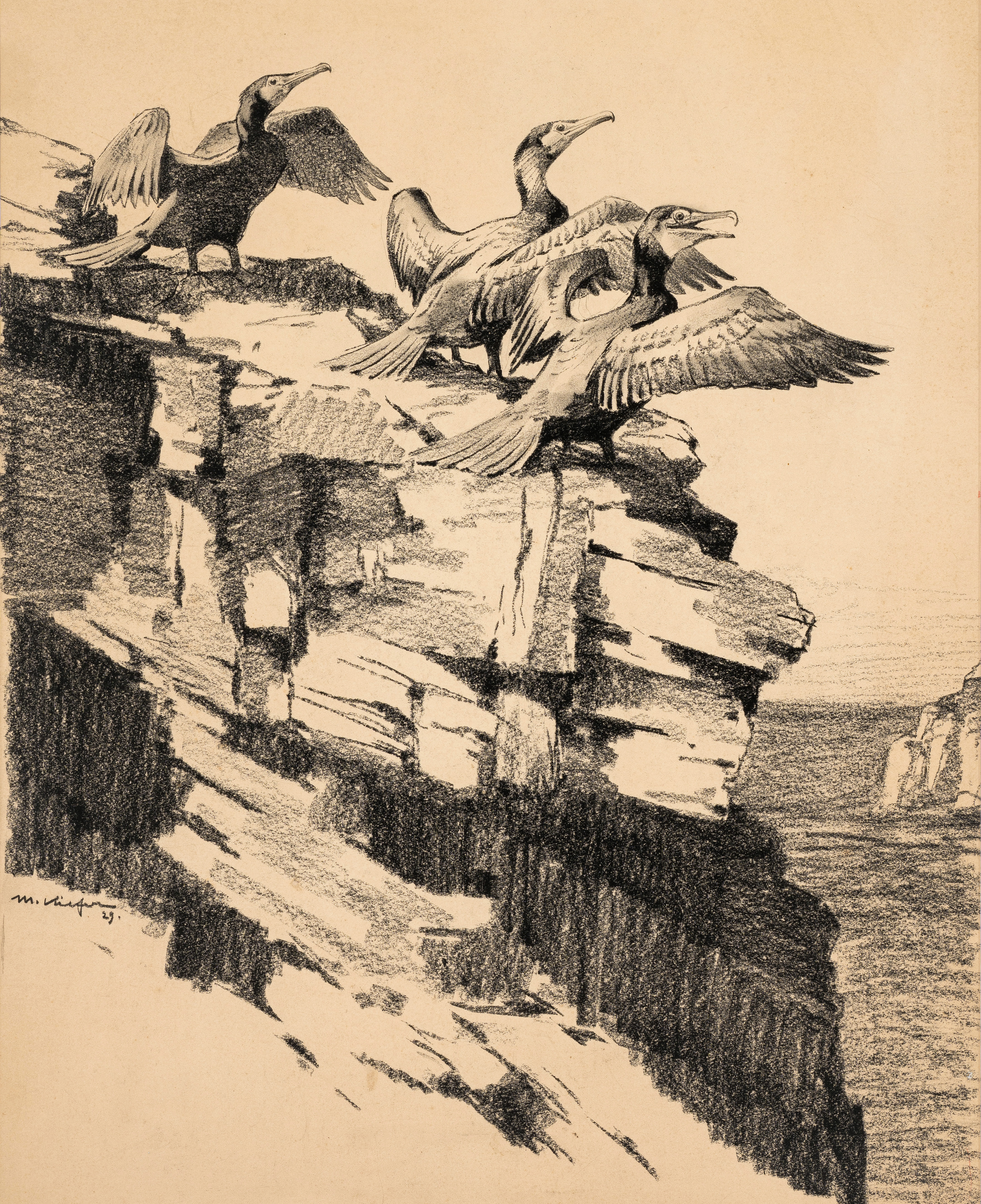 Kormorane ⋅ 1929 Image