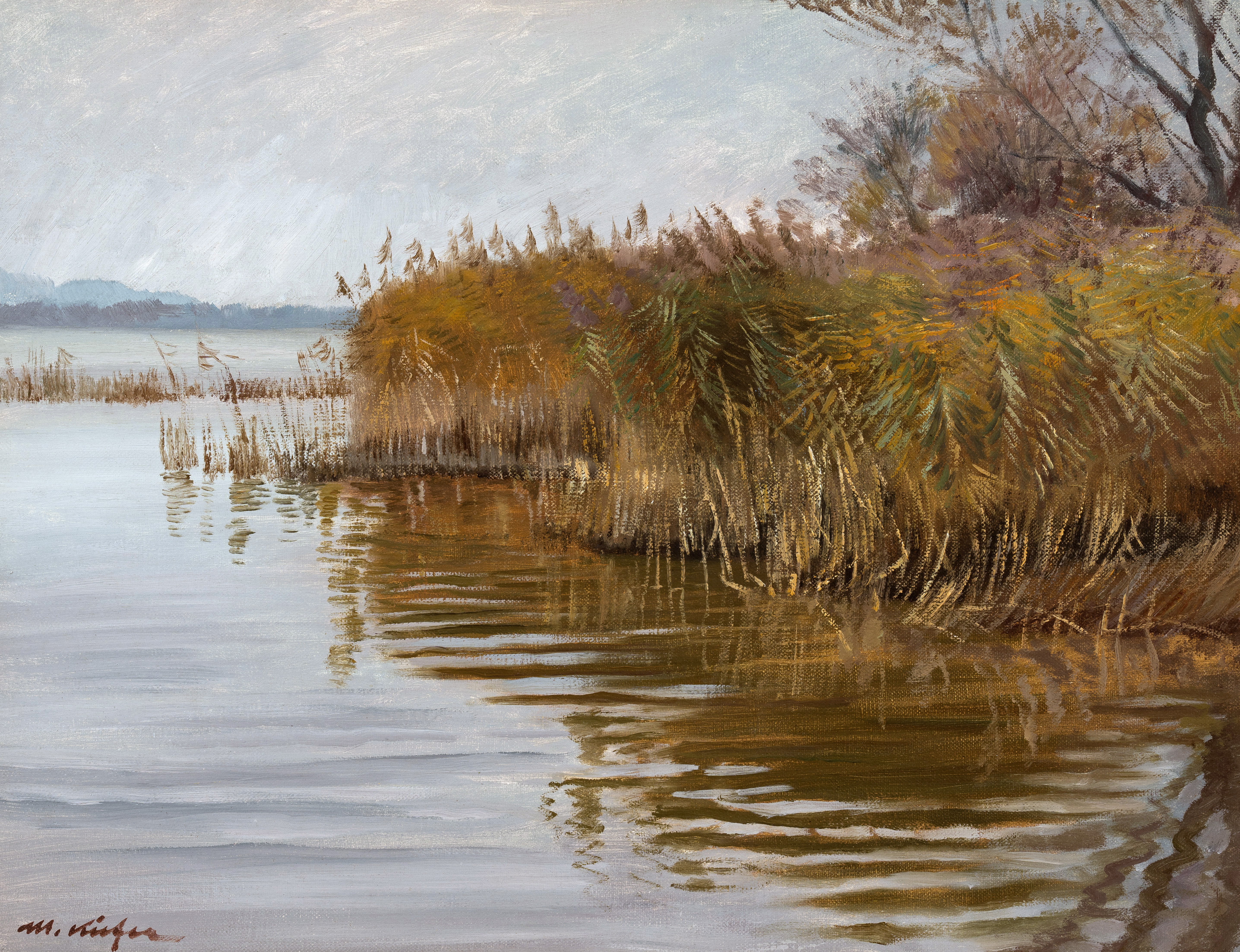 Schilfufer am Chiemsee ⋅ 1954 Image