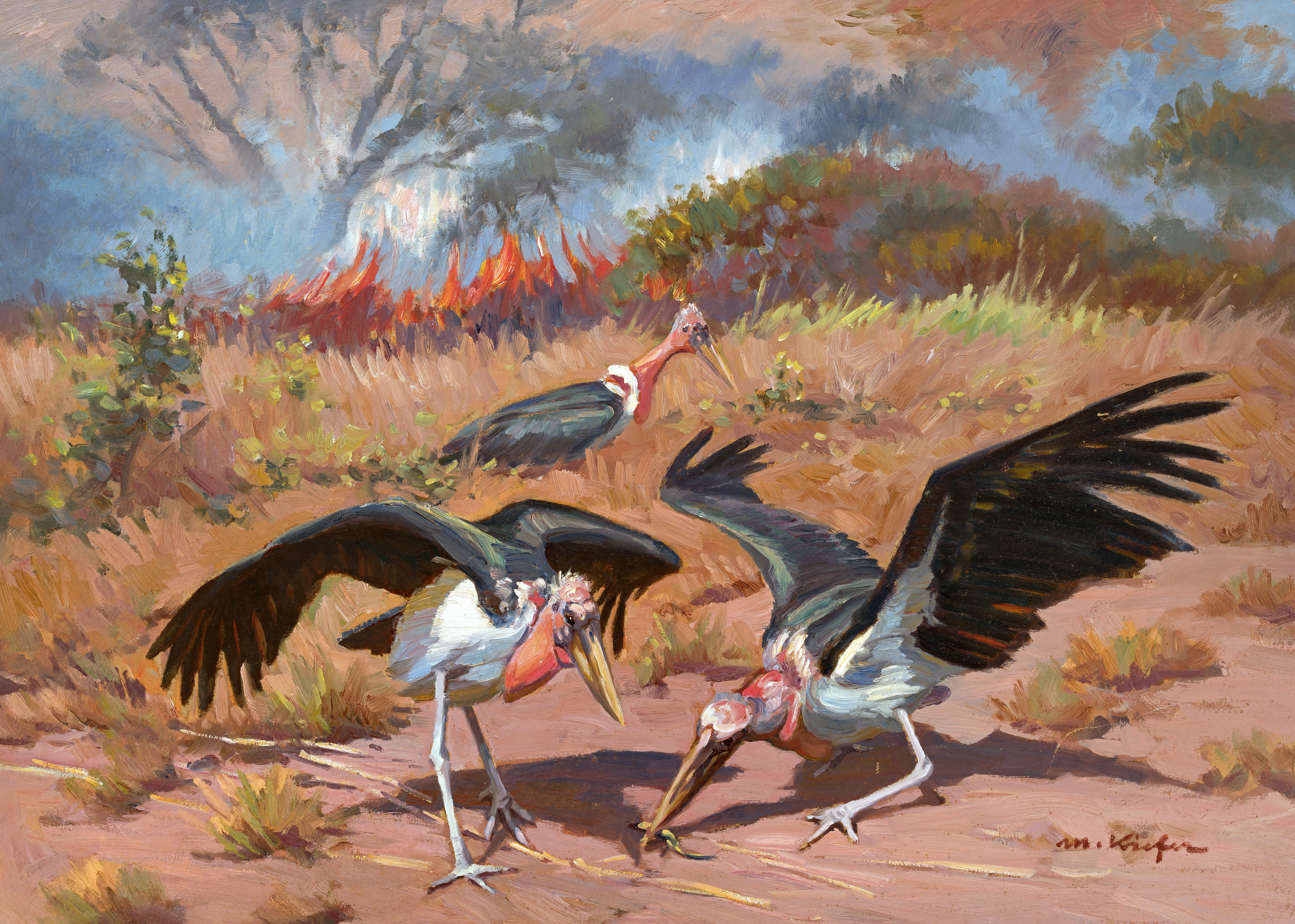 Marabus Image