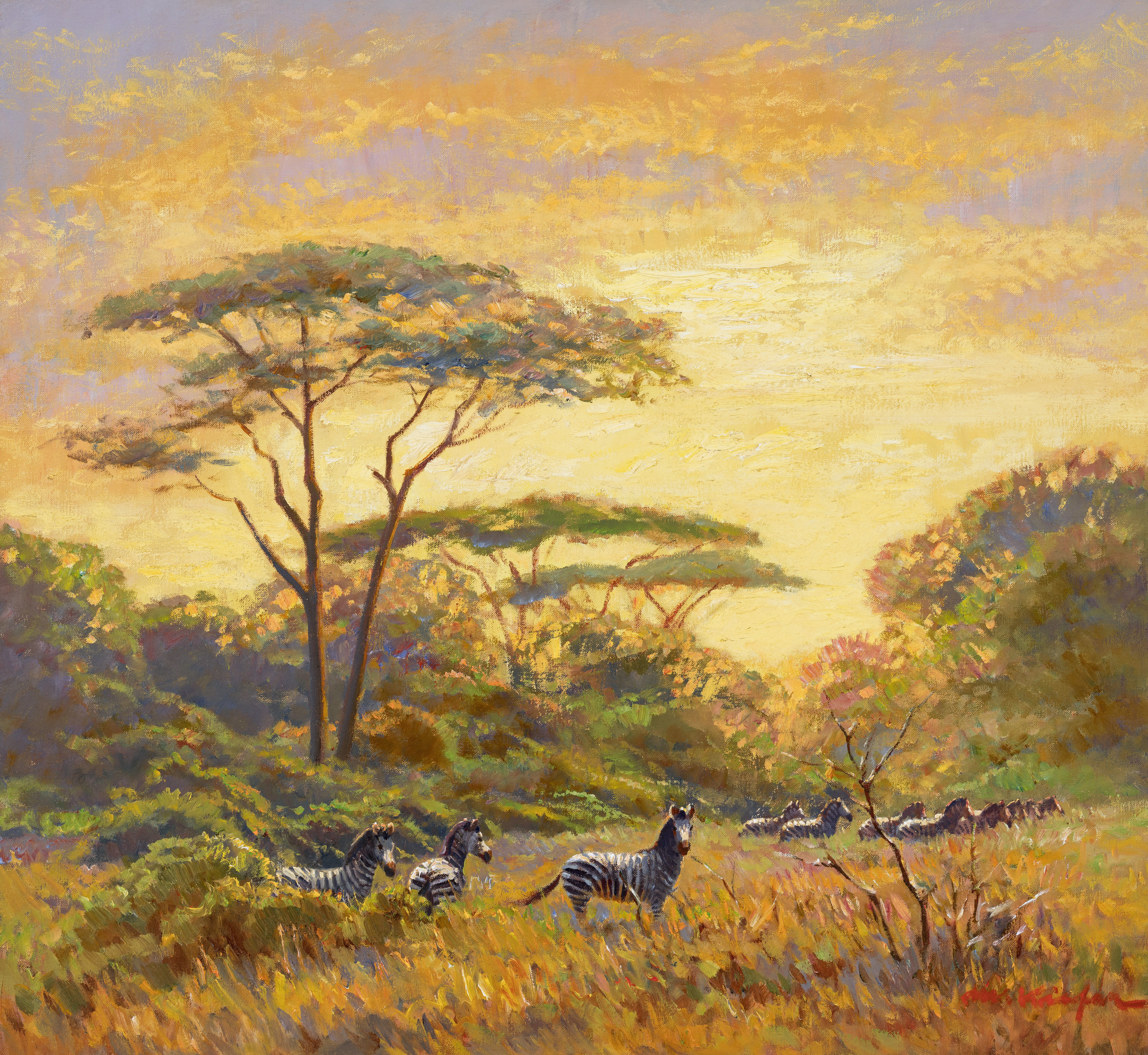 Zebras in der Serengeti ⋅ 1952 Image