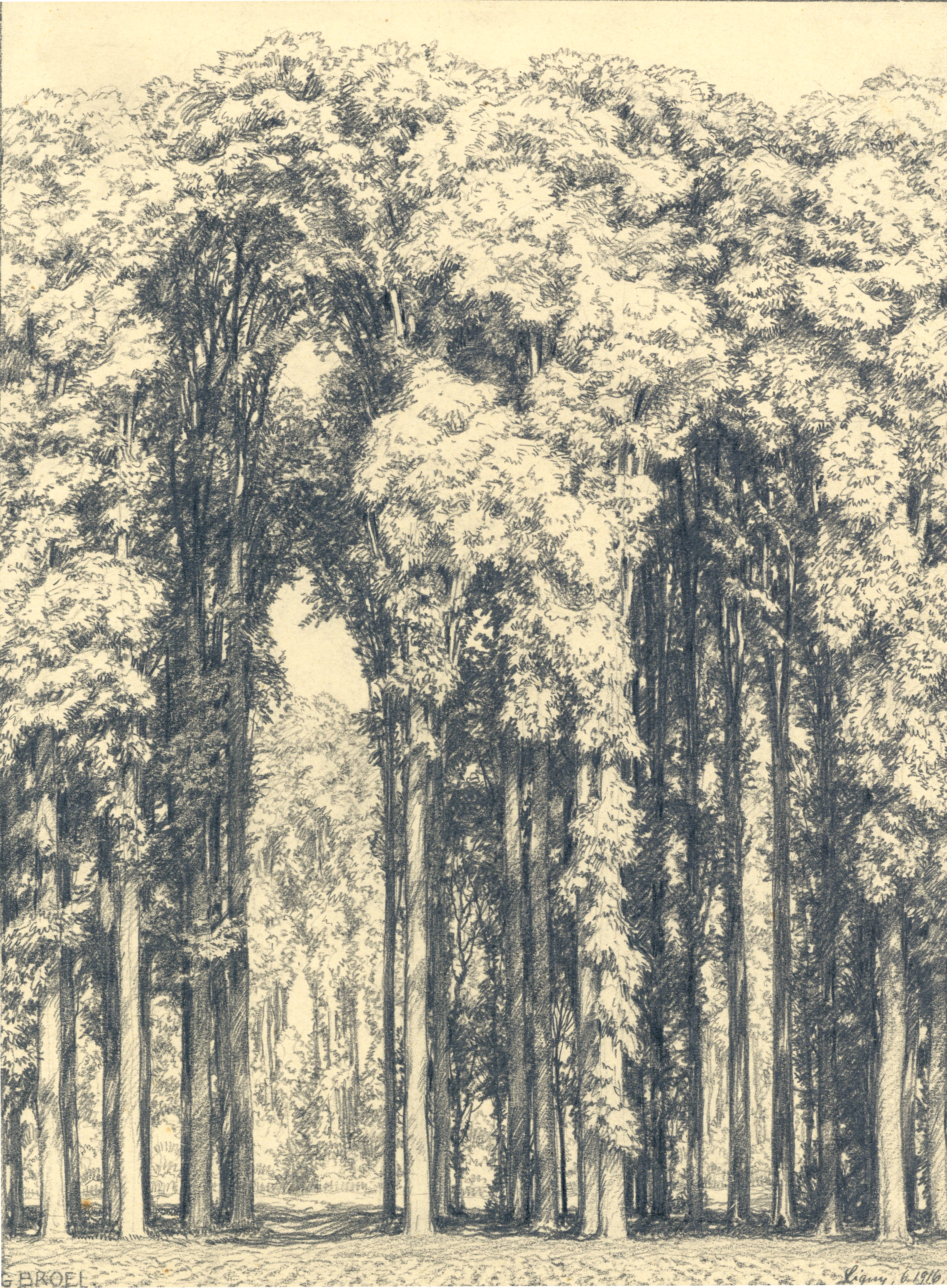 Deutscher Wald ⋅ 1916 Image